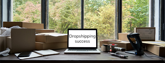 work from home with dropshipping