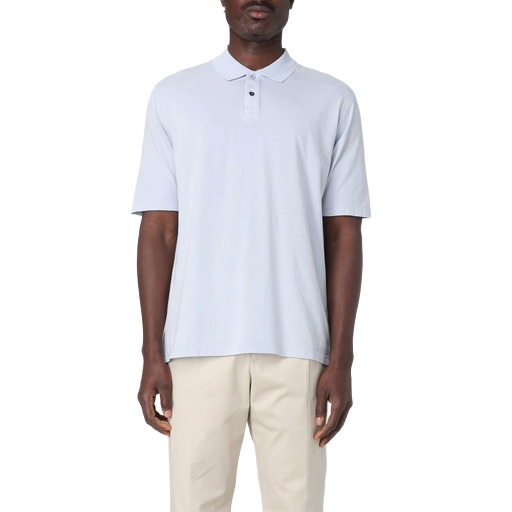 Polo ghiaccio