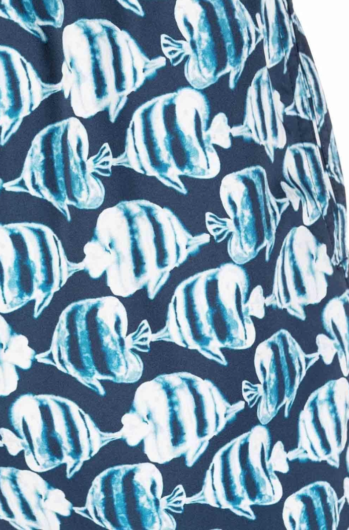 Swim shorts sea fish